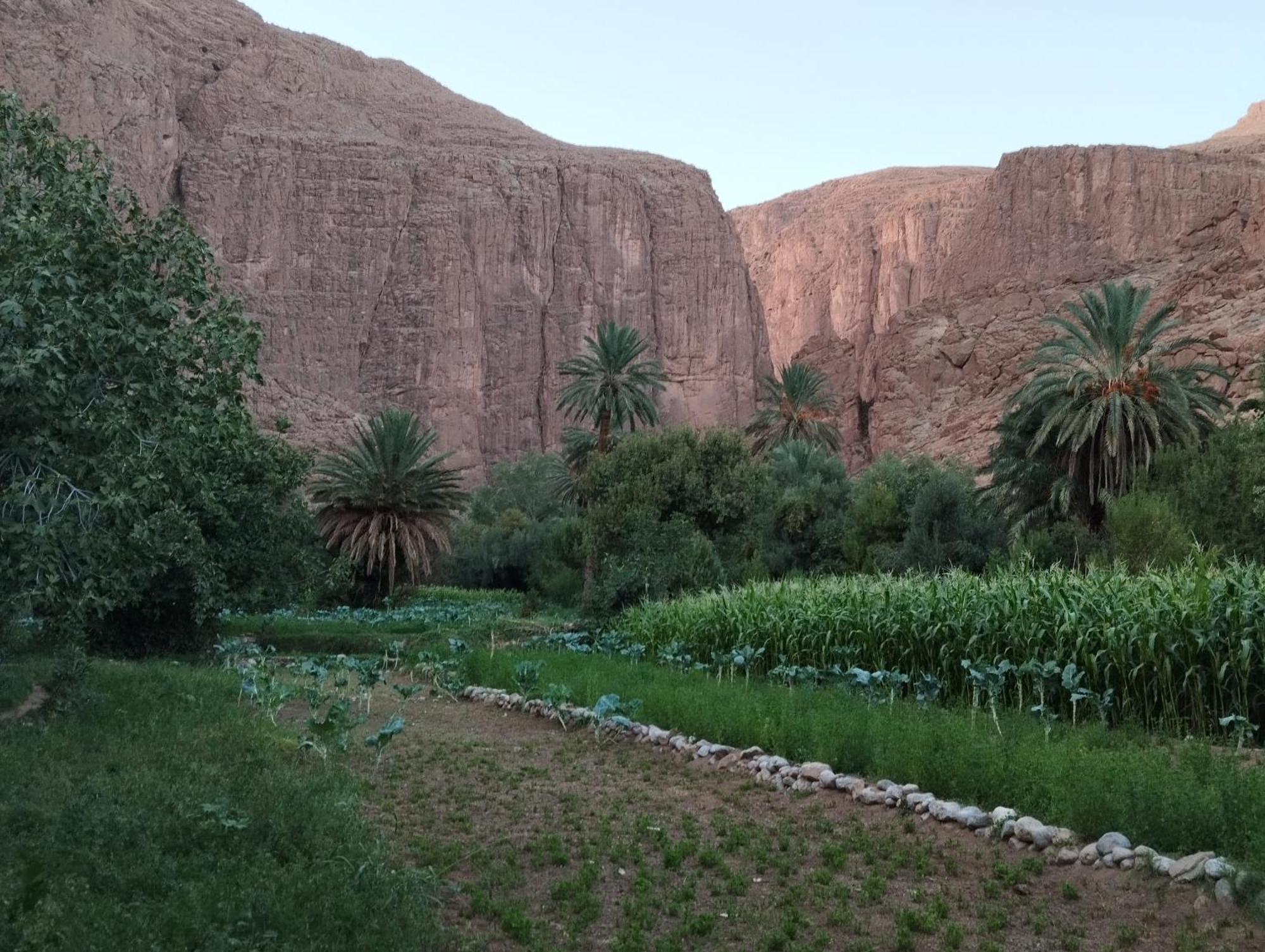 Riad La Fleur Ait Baha Luaran gambar