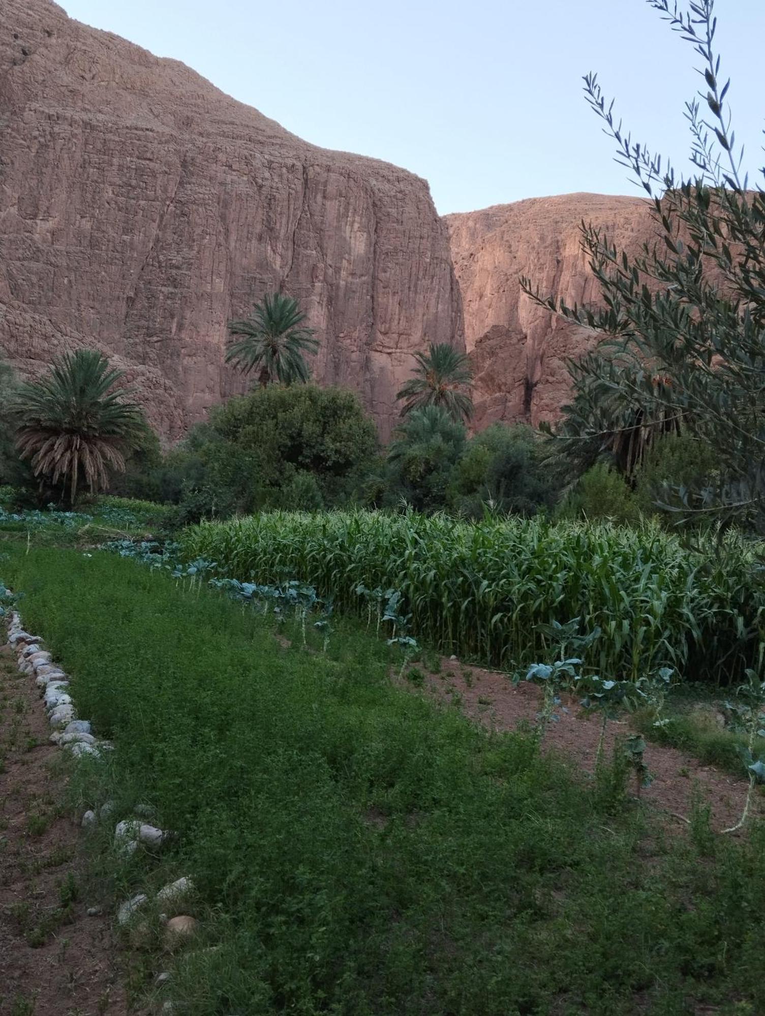 Riad La Fleur Ait Baha Luaran gambar