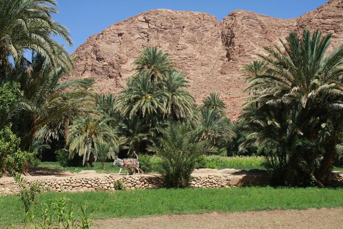 Riad La Fleur Ait Baha Luaran gambar